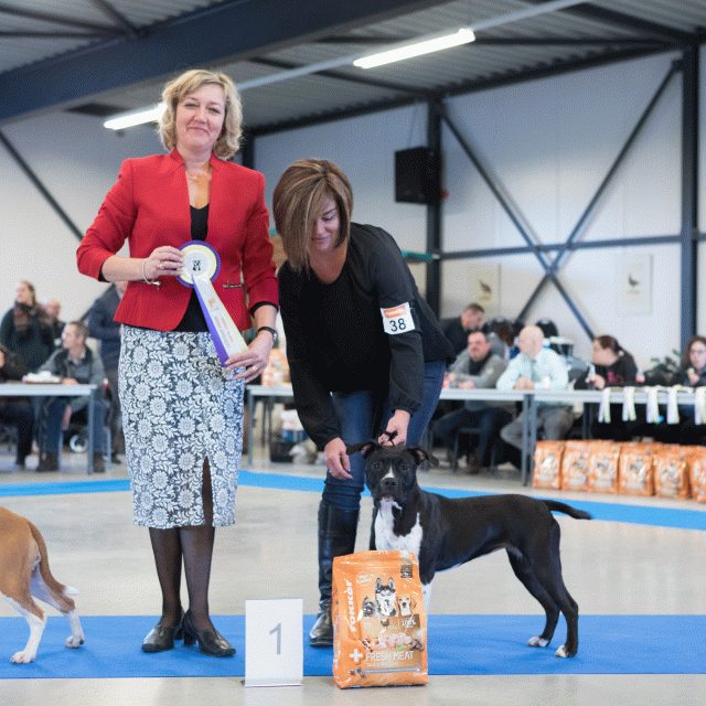 M36A0395 30519692004 O