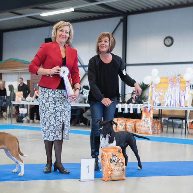 M36A0396 31198033822 O