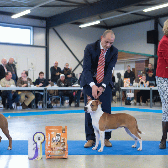 M36A0397 30519693494 O