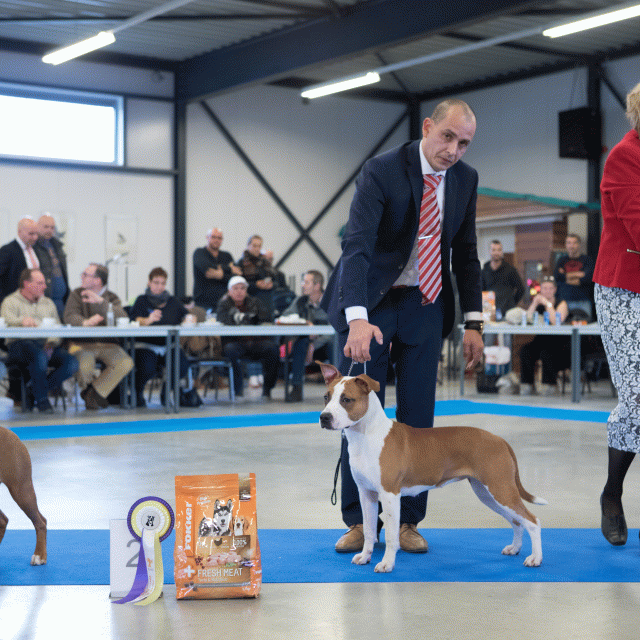 M36A0398 31198033492 O