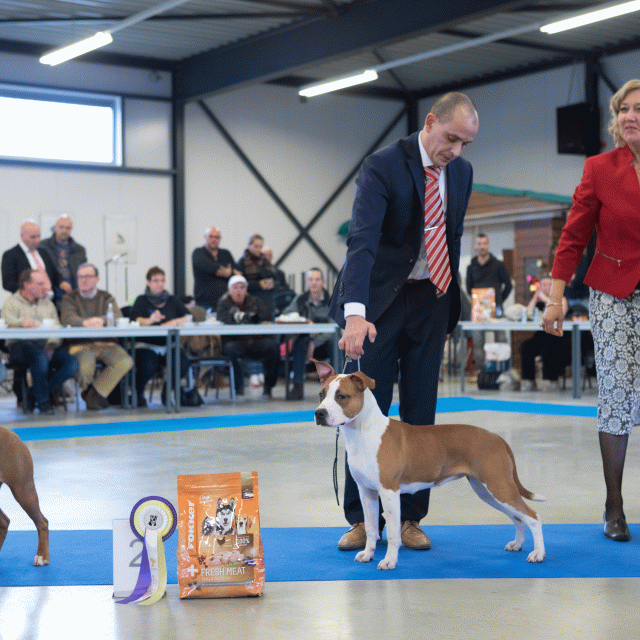 M36A0399 30519690784 O