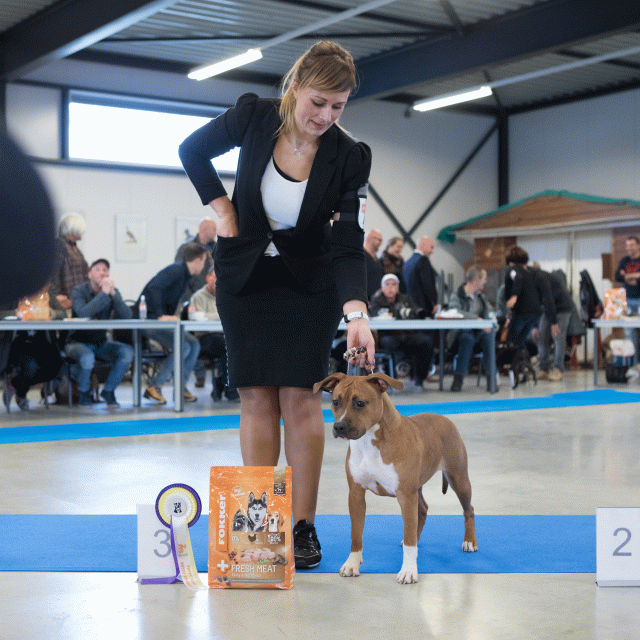 M36A0401 31198033192 O