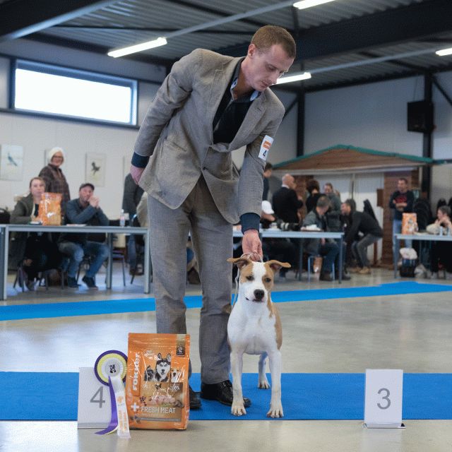 M36A0403 31198032972 O