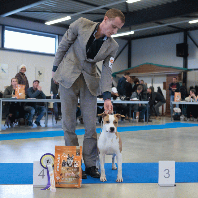 M36A0404 30519689574 O