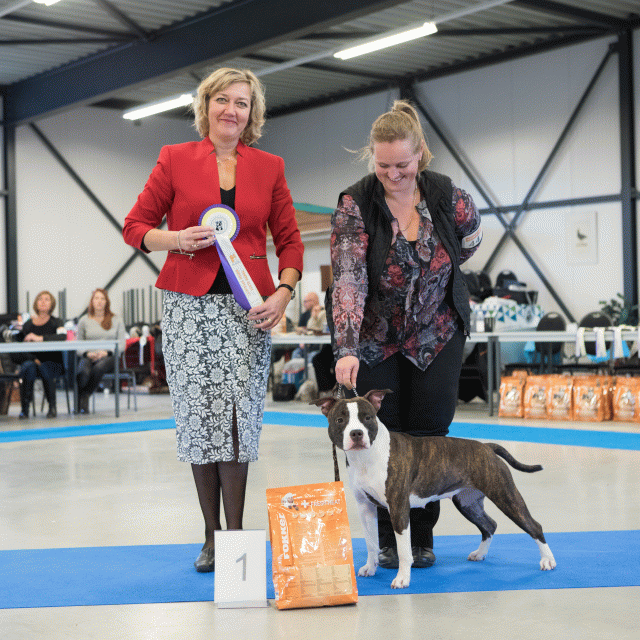 M36A0407 30519687704 O