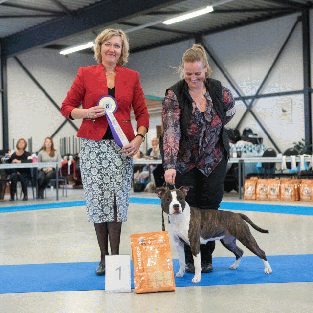 M36A0408 31198032372 O