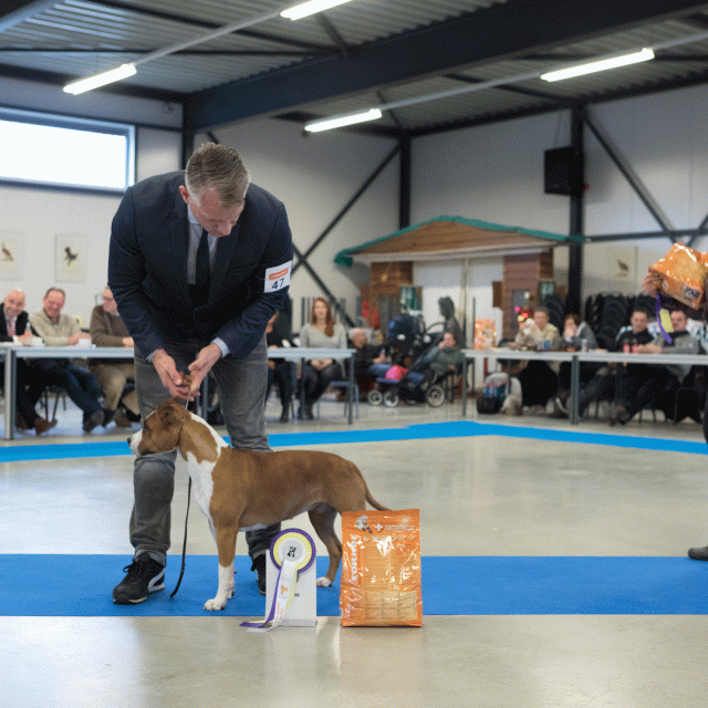 M36A0410 30519686654 O