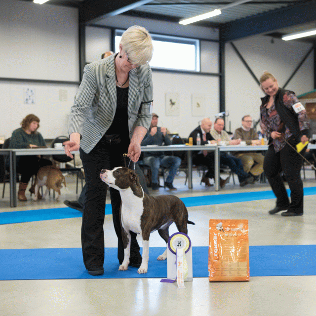 M36A0411 31198032012 O