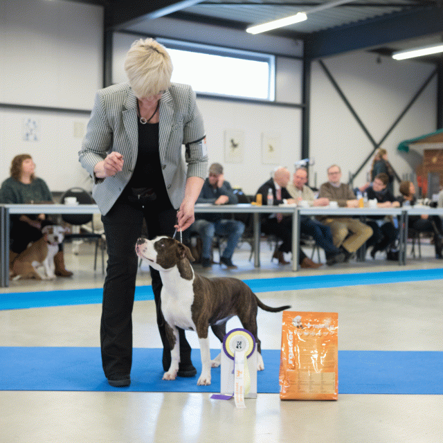 M36A0412 30519685604 O