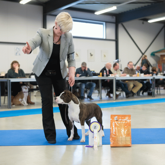 M36A0413 31198031702 O