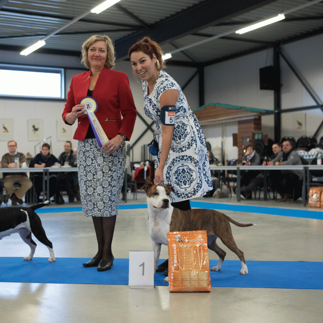 M36A0414 31306043436 O