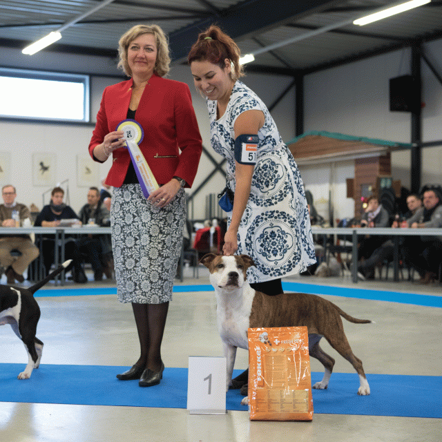 M36A0415 31198031492 O