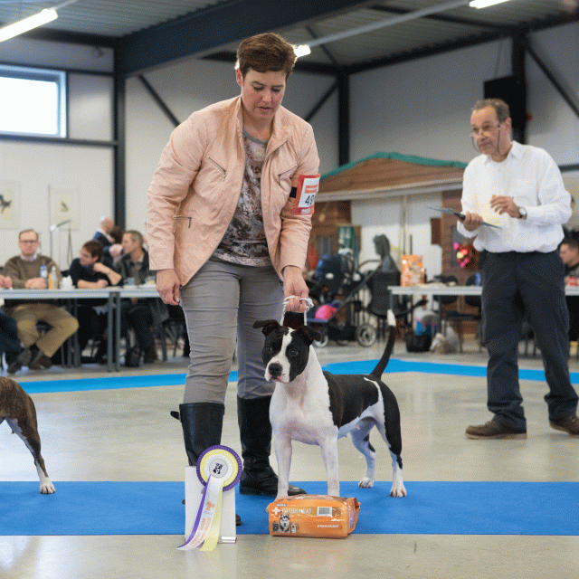 M36A0418 31198031202 O