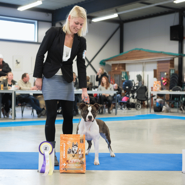 M36A0419 31306042706 O