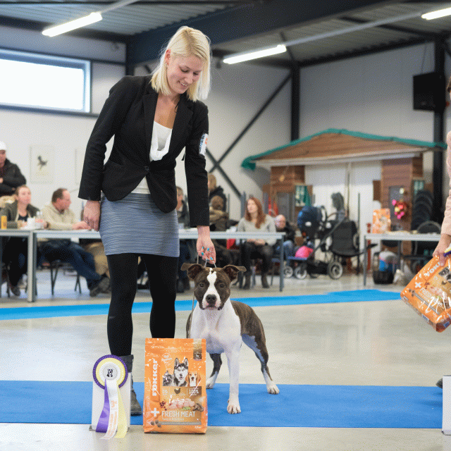 M36A0420 31306042326 O