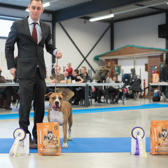 M36A0421 30534512333 O