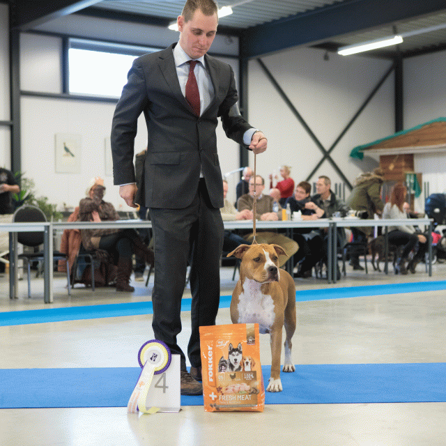 M36A0422 31306041896 O