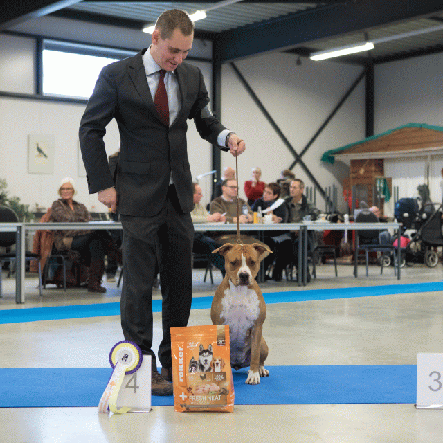 M36A0423 31198030392 O