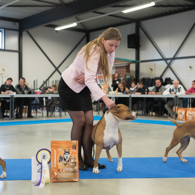 M36A0429 31198029892 O