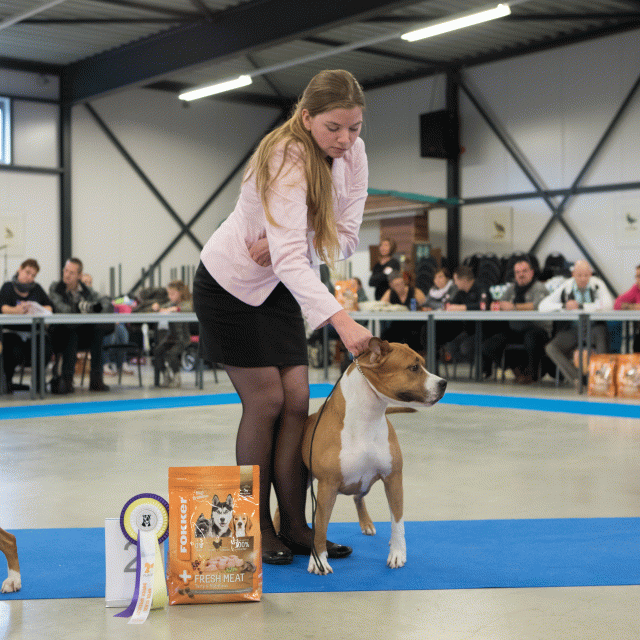 M36A0430 30973099880 O