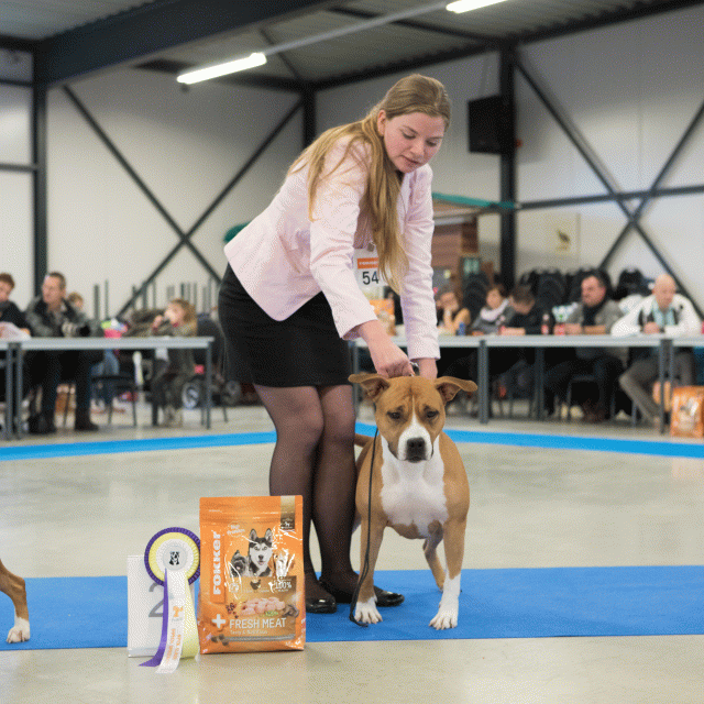 M36A0431 30534510323 O