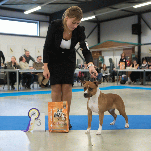 M36A0432 31306041316 O