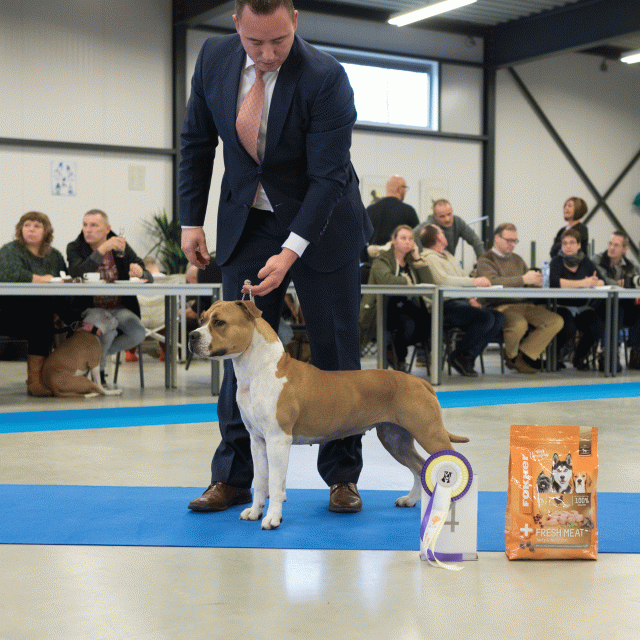 M36A0433 30534509733 O