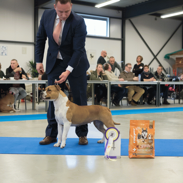 M36A0434 30519680994 O