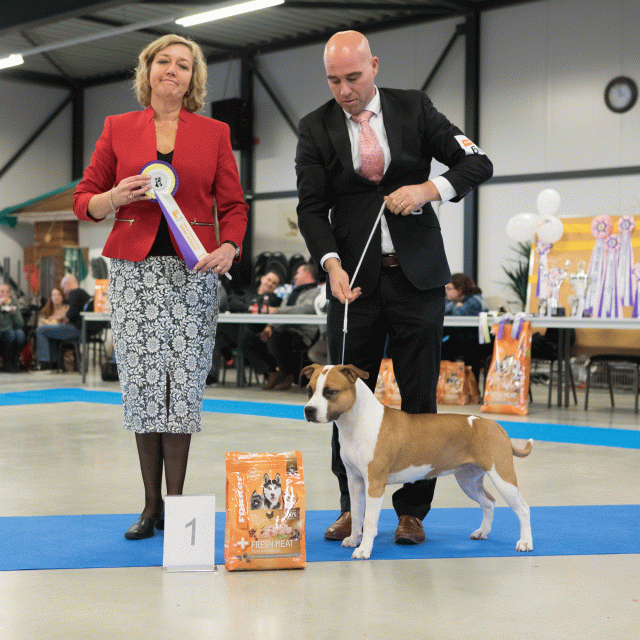 M36A0435 31306040336 O