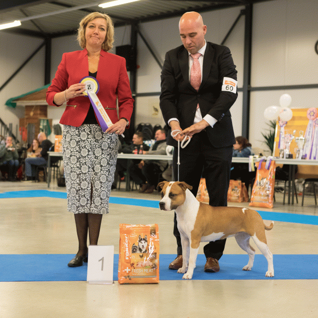 M36A0436 30519680724 O