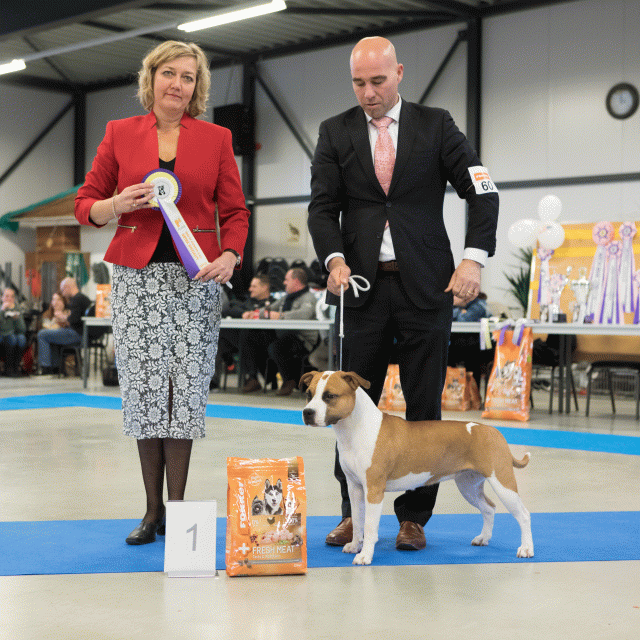 M36A0437 31198027842 O