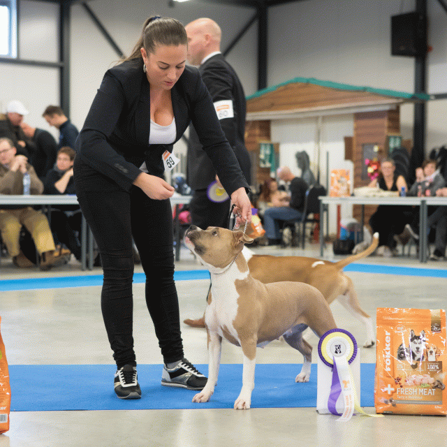 M36A0438 30519679854 O