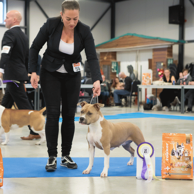 M36A0439 31306039956 O