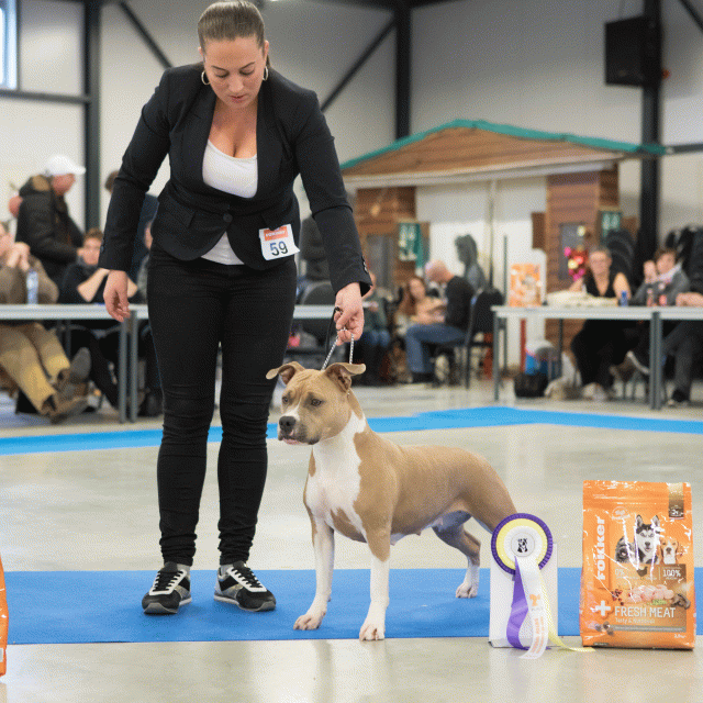 M36A0440 30534507203 O