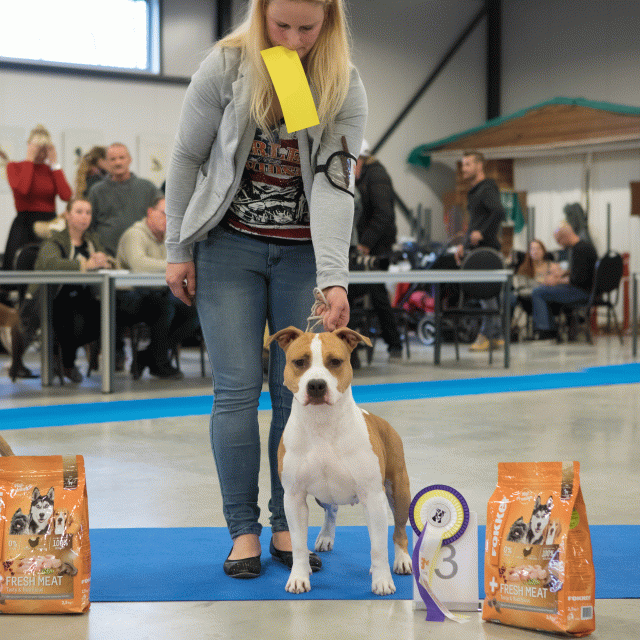 M36A0441 31198026892 O