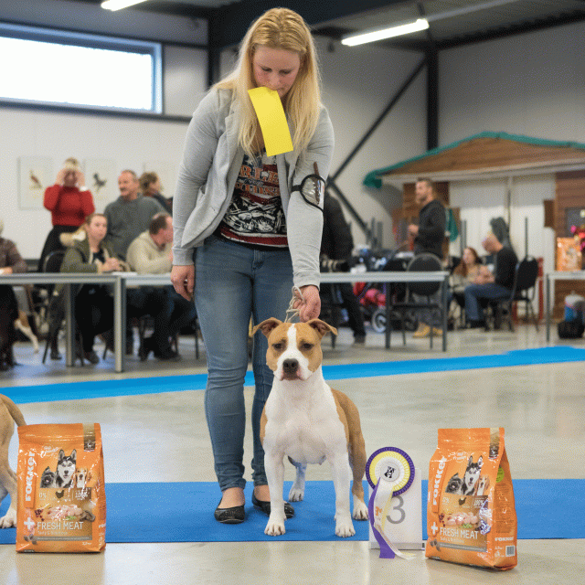 M36A0442 30519679084 O