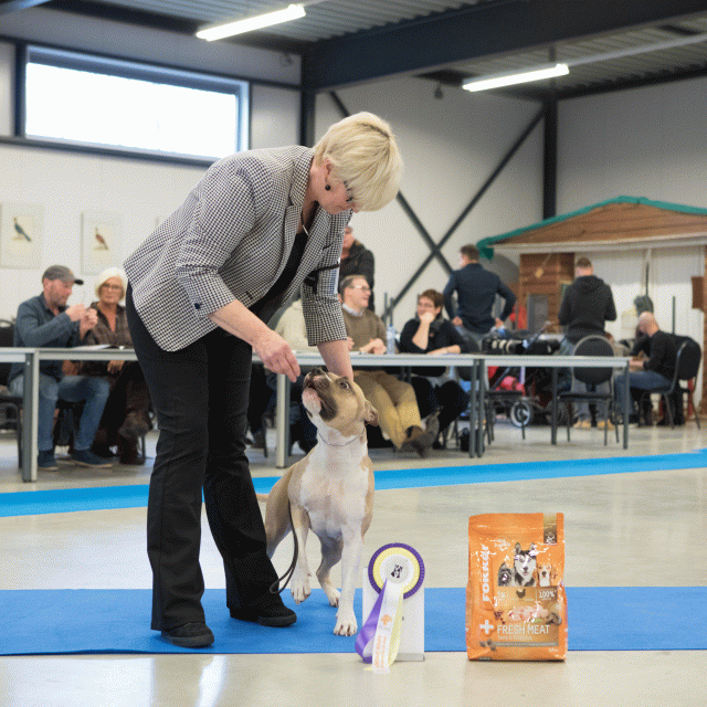 M36A0444 30534507453 O