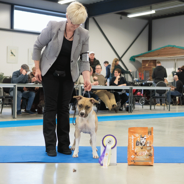 M36A0445 30534506453 O