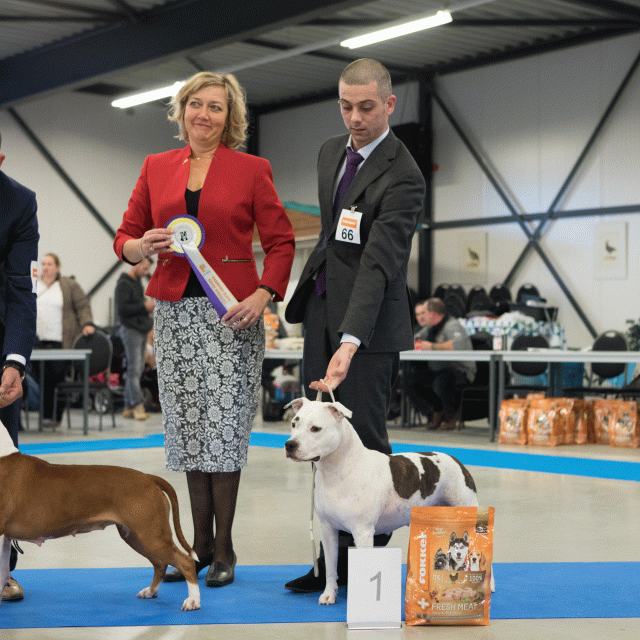 M36A0447 31342181305 O