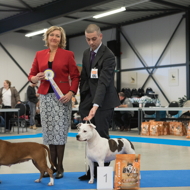 M36A0448 30519678134 O