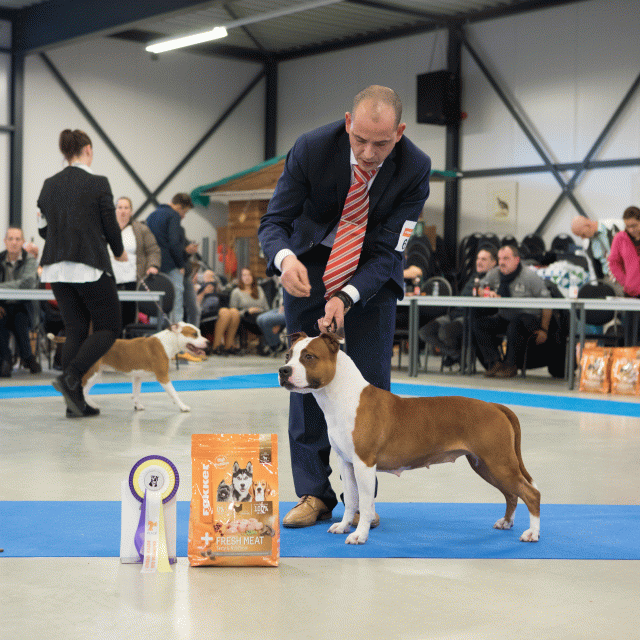 M36A0451 31342180645 O