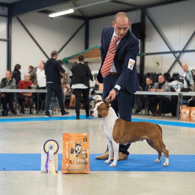 M36A0452 31342181415 O