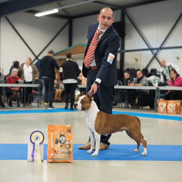 M36A0453 31342180145 O