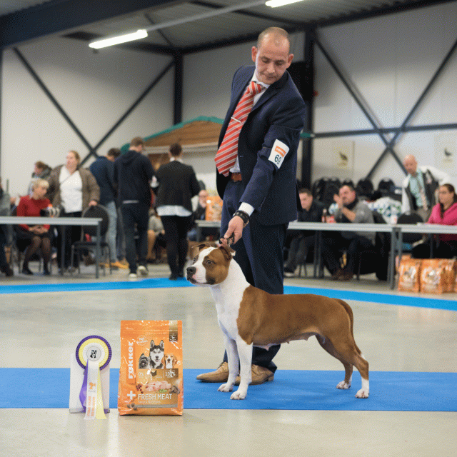 M36A0454 31198024512 O