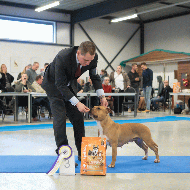 M36A0455 31342179495 O