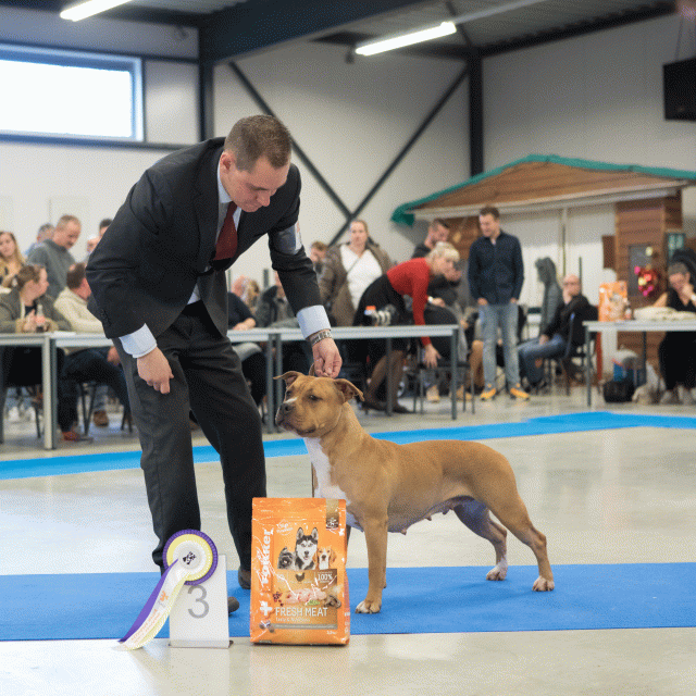 M36A0456 31198023932 O