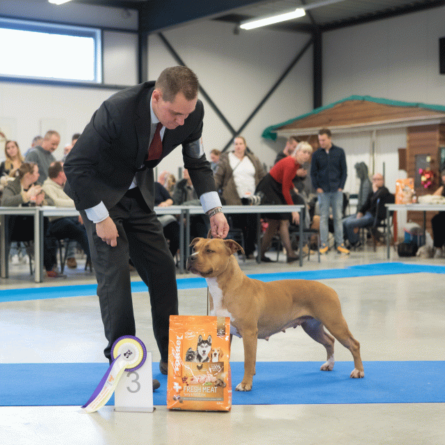 M36A0457 31342178785 O