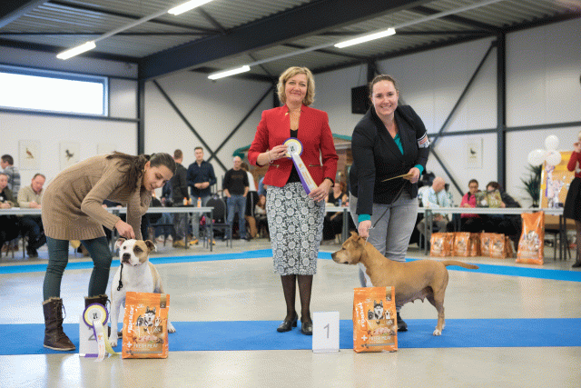 M36A0458 31198023492 O