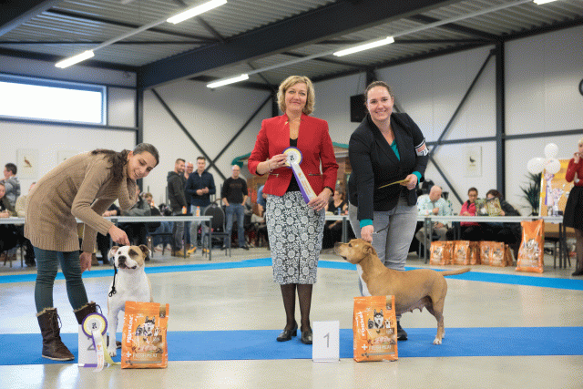 M36A0459 31306035166 O