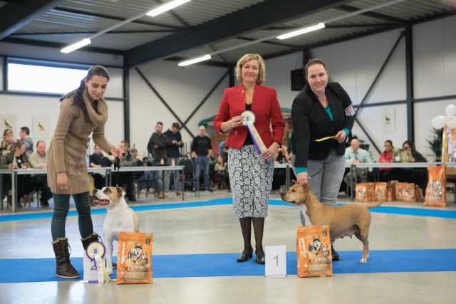 M36A0460 31198023022 O